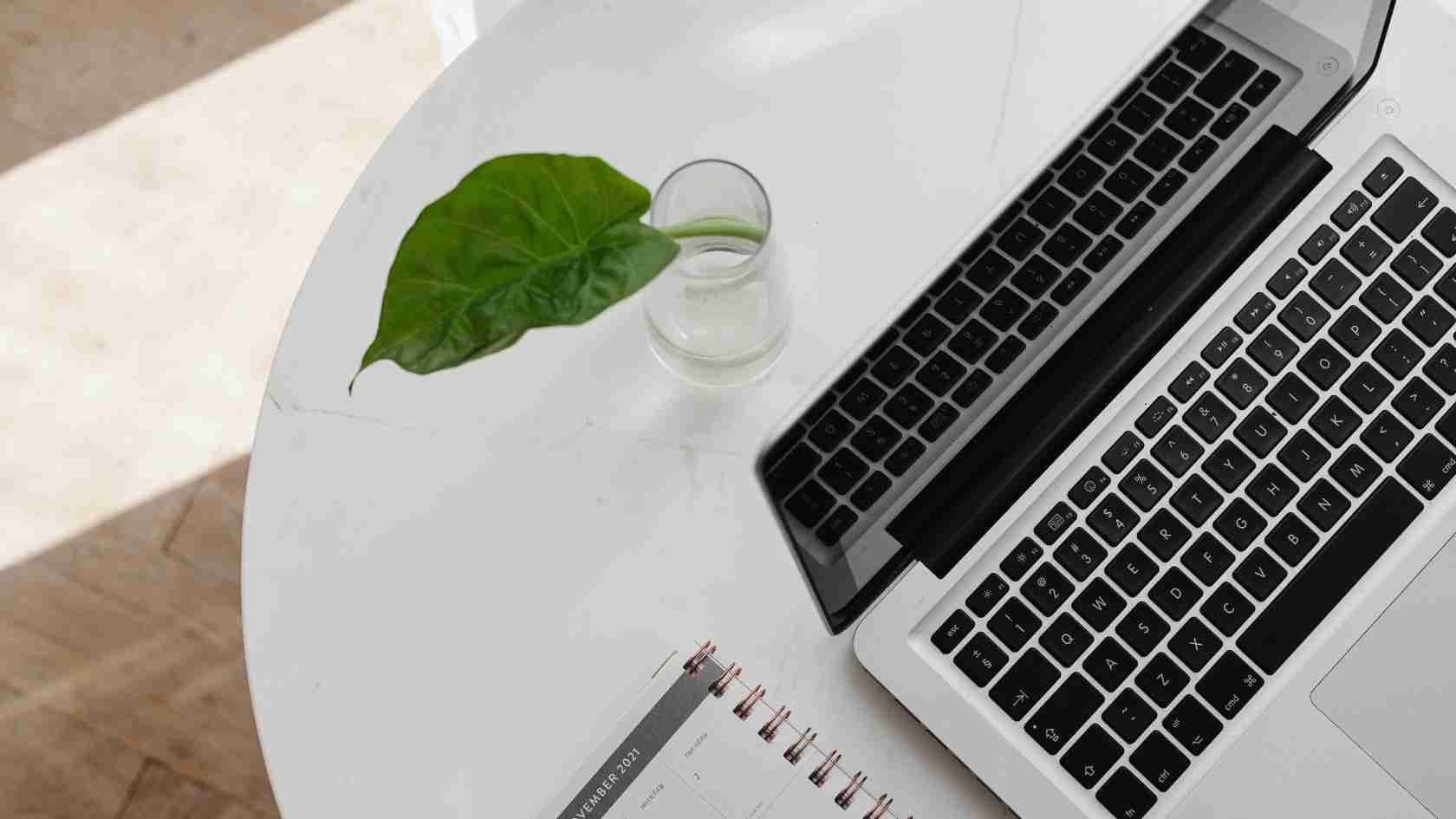 Green leaf in vase on desk next to computer